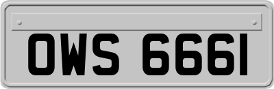 OWS6661