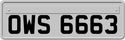 OWS6663