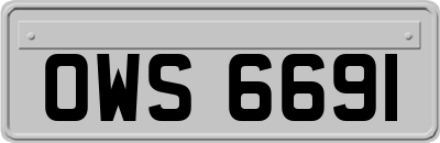 OWS6691