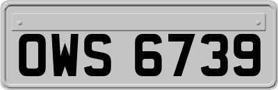 OWS6739