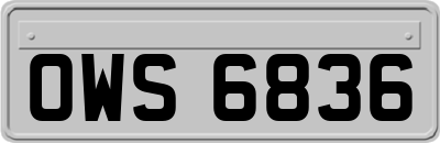OWS6836