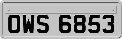 OWS6853