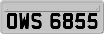 OWS6855