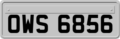 OWS6856