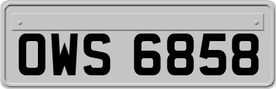 OWS6858