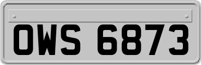 OWS6873