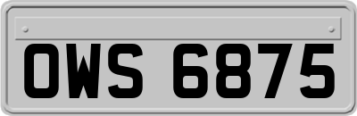 OWS6875