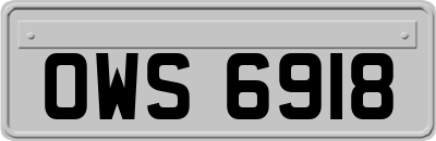 OWS6918