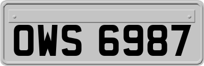 OWS6987