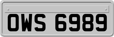 OWS6989