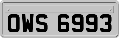 OWS6993