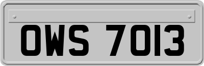 OWS7013