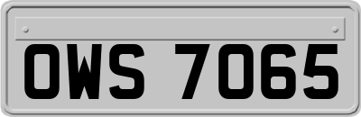 OWS7065