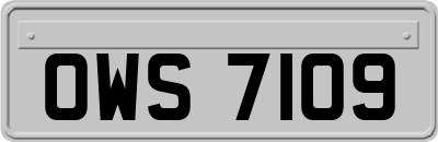 OWS7109