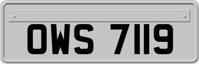 OWS7119