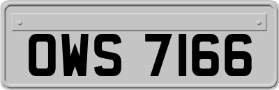 OWS7166