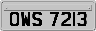 OWS7213