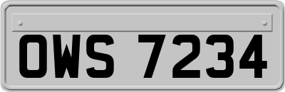 OWS7234