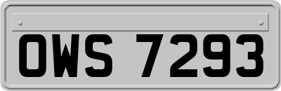 OWS7293