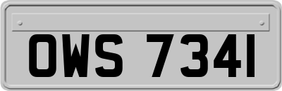 OWS7341