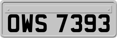 OWS7393