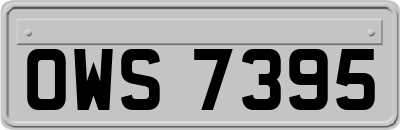 OWS7395