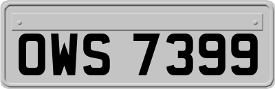 OWS7399