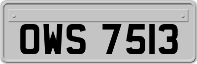 OWS7513