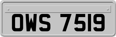 OWS7519