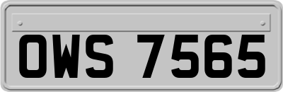 OWS7565