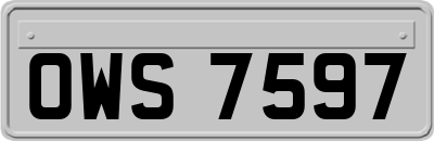 OWS7597