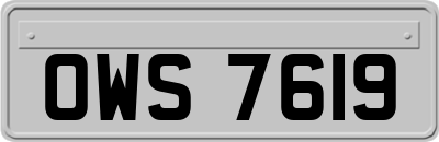 OWS7619