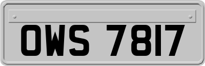 OWS7817