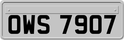 OWS7907