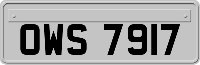 OWS7917