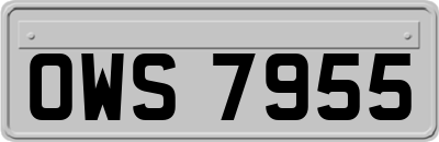 OWS7955