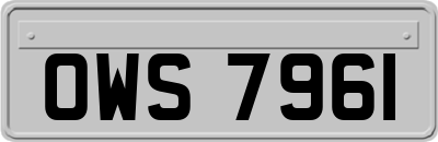 OWS7961