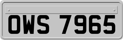 OWS7965