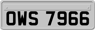 OWS7966