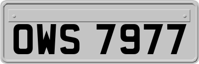 OWS7977