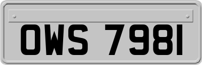 OWS7981