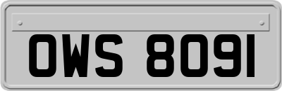 OWS8091