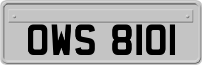 OWS8101