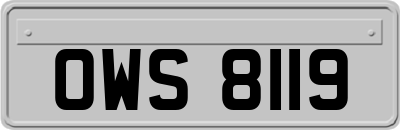 OWS8119