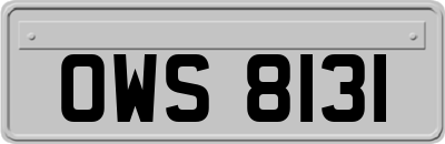 OWS8131