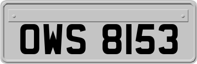 OWS8153