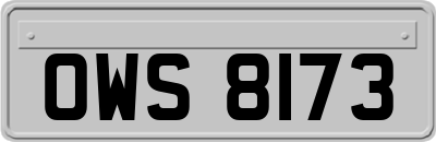 OWS8173