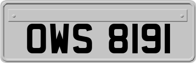 OWS8191