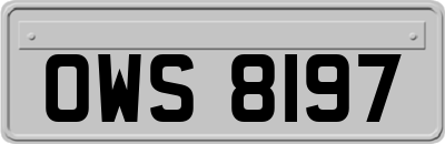 OWS8197