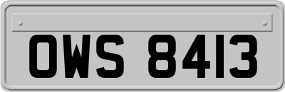 OWS8413